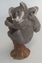 Koalas