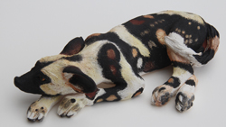 Wild Dog