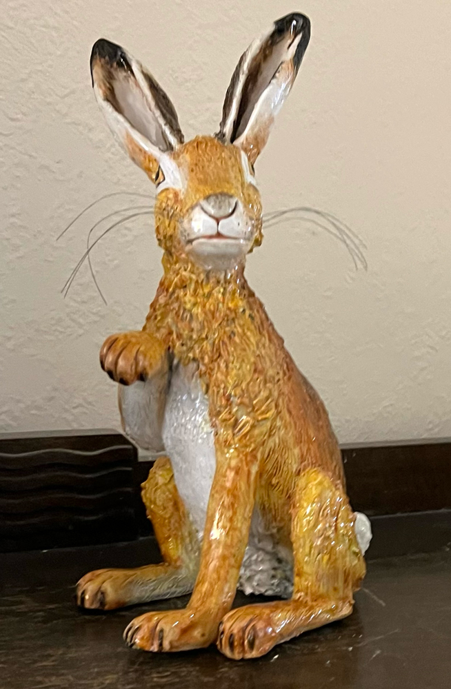 Brown Hare 4