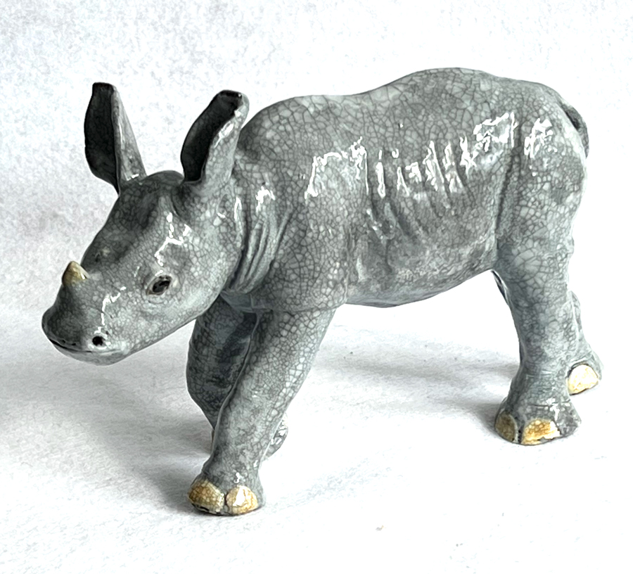 White Rhino Calf