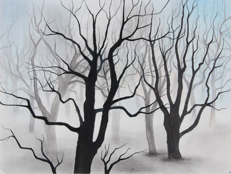 Trees in Winter