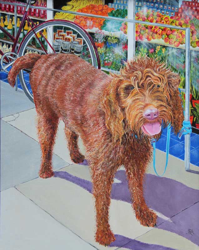 Hairy_Dog