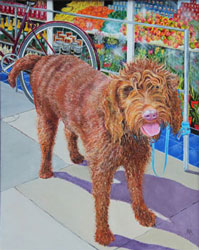 shaggy dog