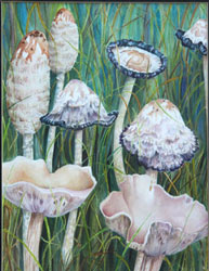 ink-caps1