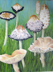 ink-caps2