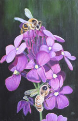Honey Bees